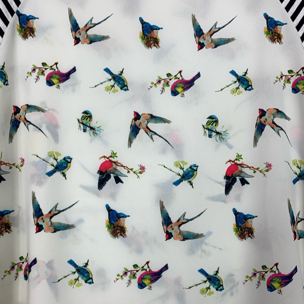 Le Lis Bird Exotic Semi Sheer Striped Sleeve Top S - Picture 3 of 6